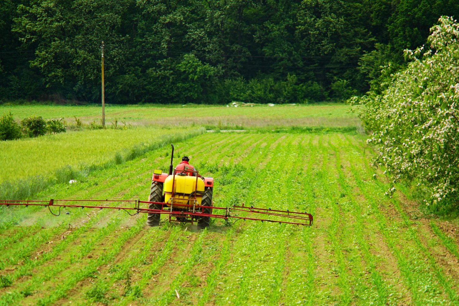 Agriculture